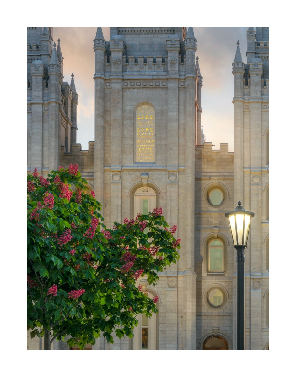 Salt Lake Temple- Covenant Promise