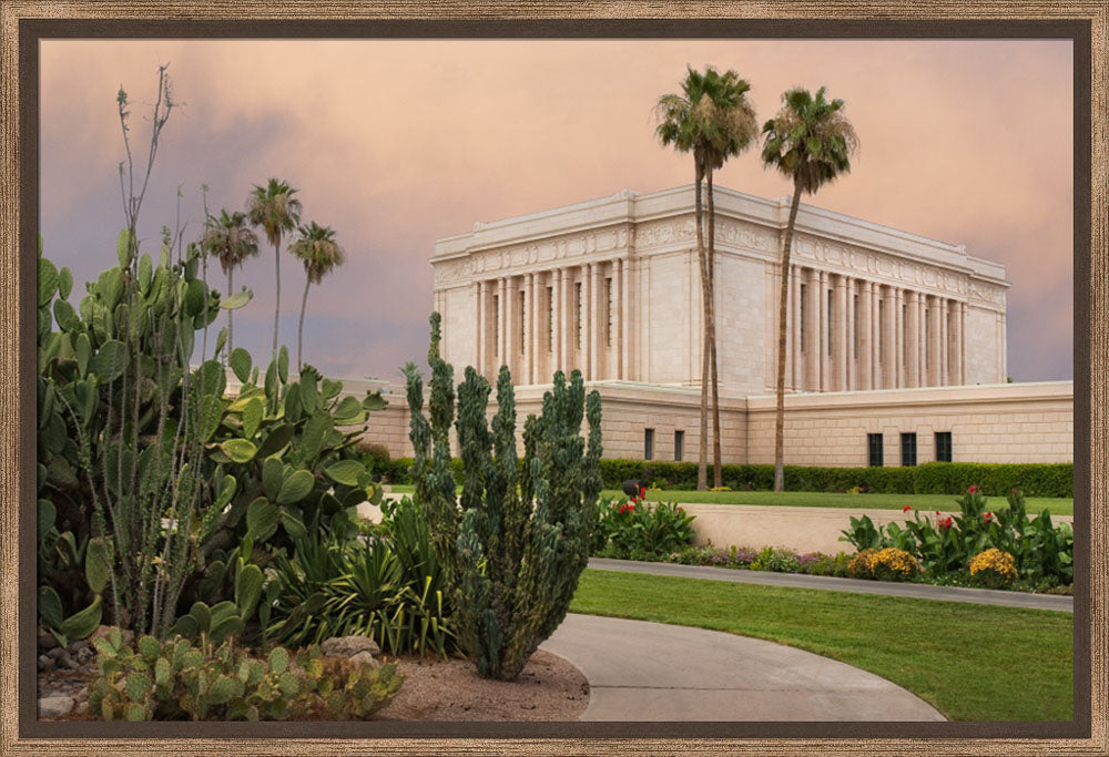 Mesa Temple - Cactus Path