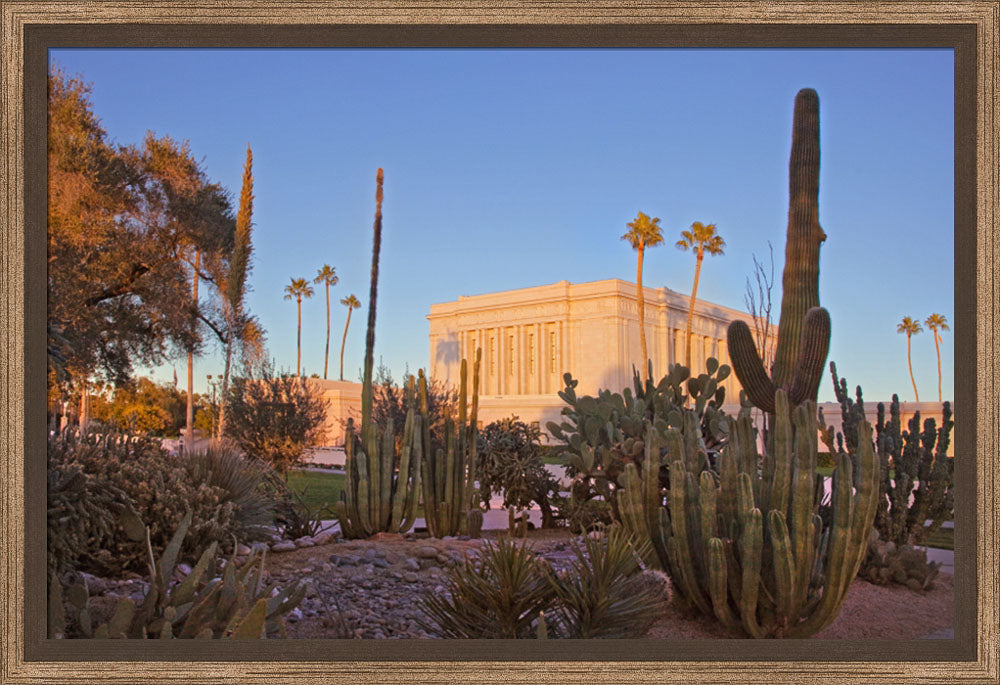 Mesa Temple - Cactus