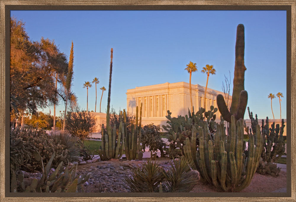 Mesa Temple - Cactus