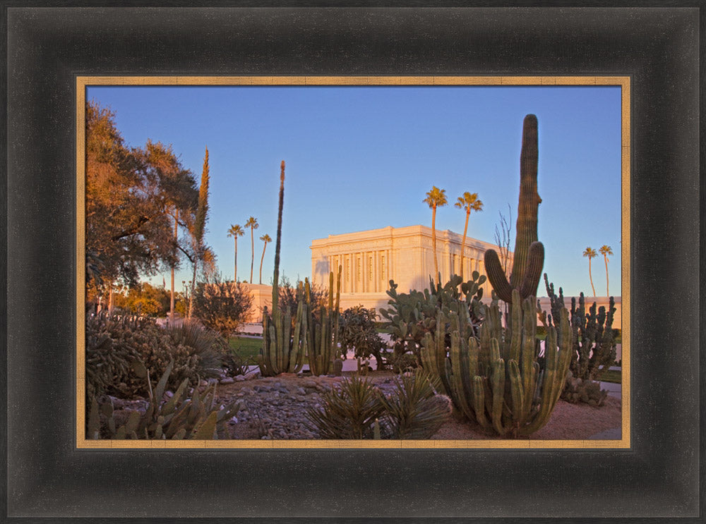 Mesa Temple - Cactus