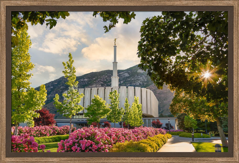 Provo Temple - Pink Roses