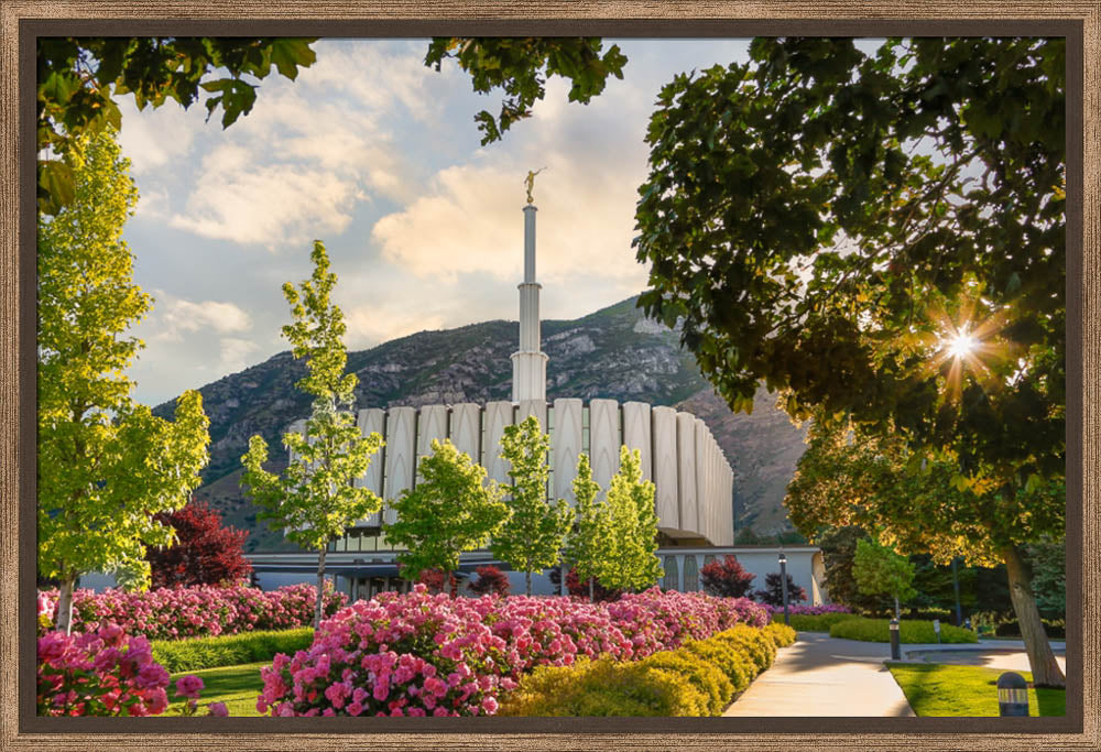 Provo Temple - Pink Roses
