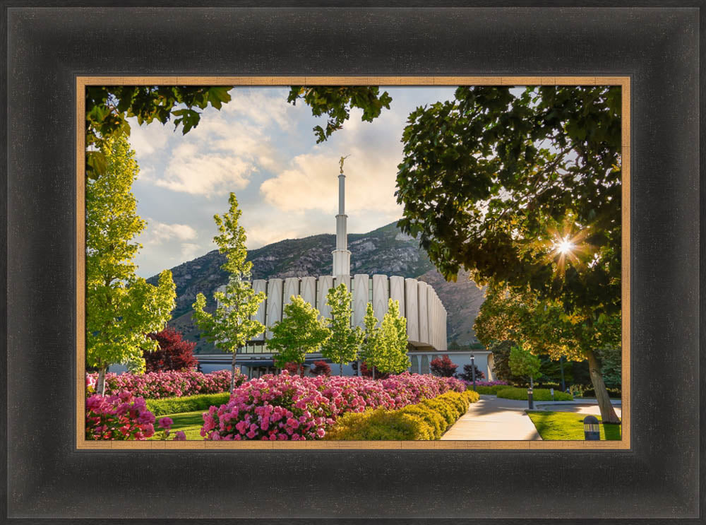 Provo Temple - Pink Roses