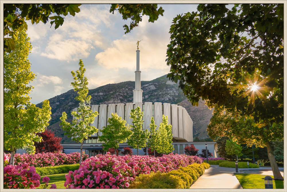 Provo Temple - Pink Roses