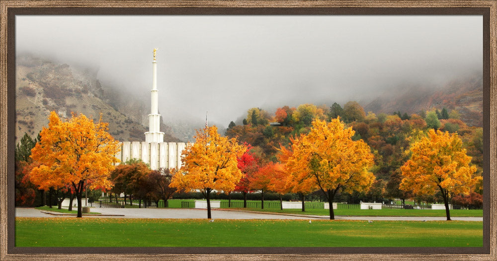 Provo Temple - Autumn Trees
