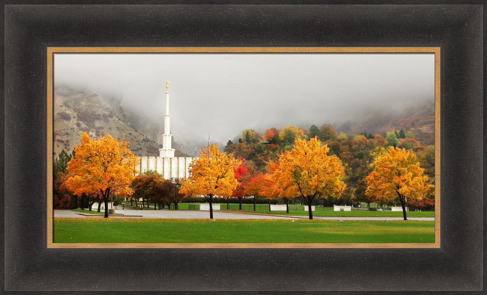 Provo Temple - Autumn Trees