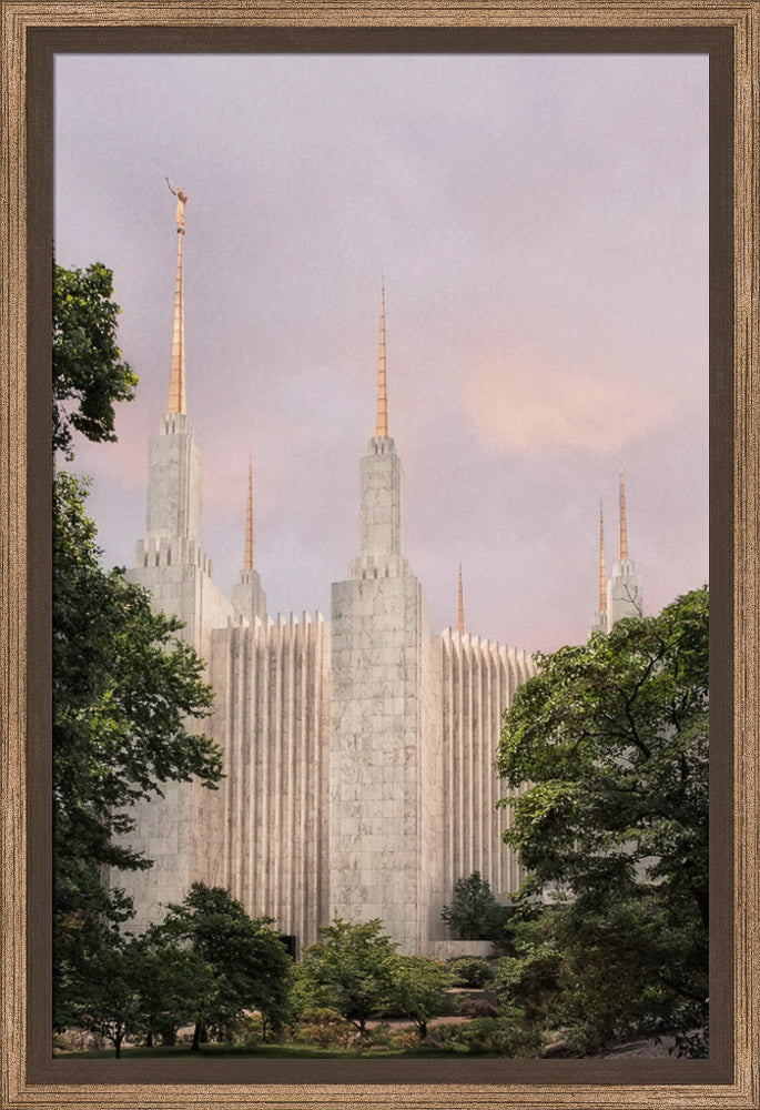 Washington DC Temple - Side Textured