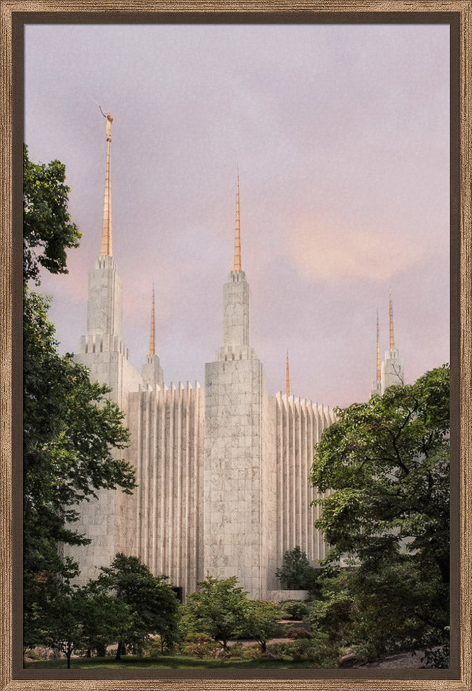 Washington DC Temple - Side Textured