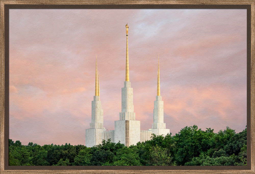 Washington DC Temple - Spires