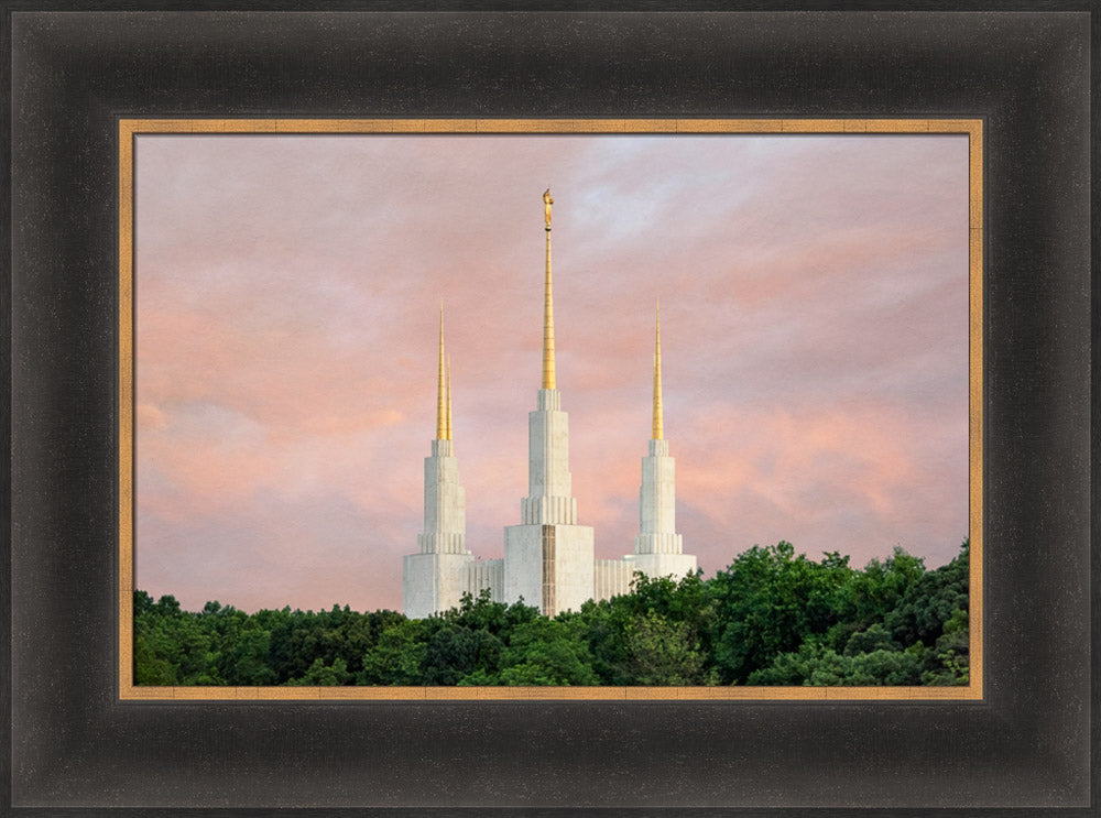 Washington DC Temple - Spires