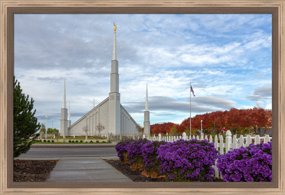 Boise Temple - Purple Flowers