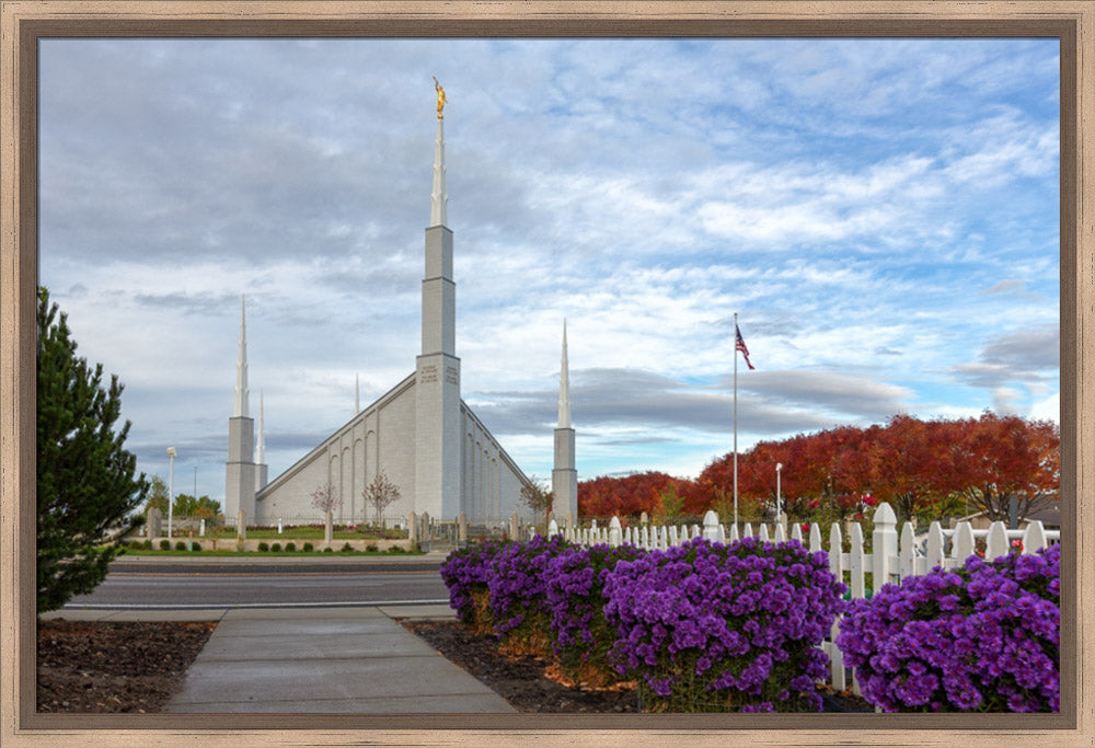 Boise Temple - Purple Flowers