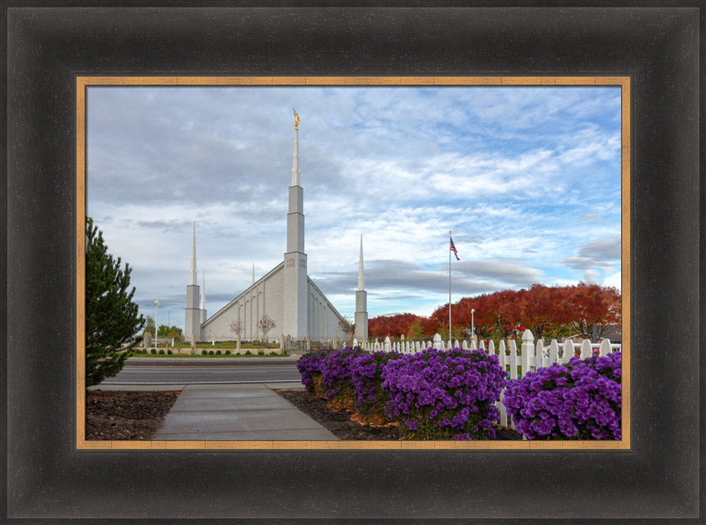 Boise Temple - Purple Flowers