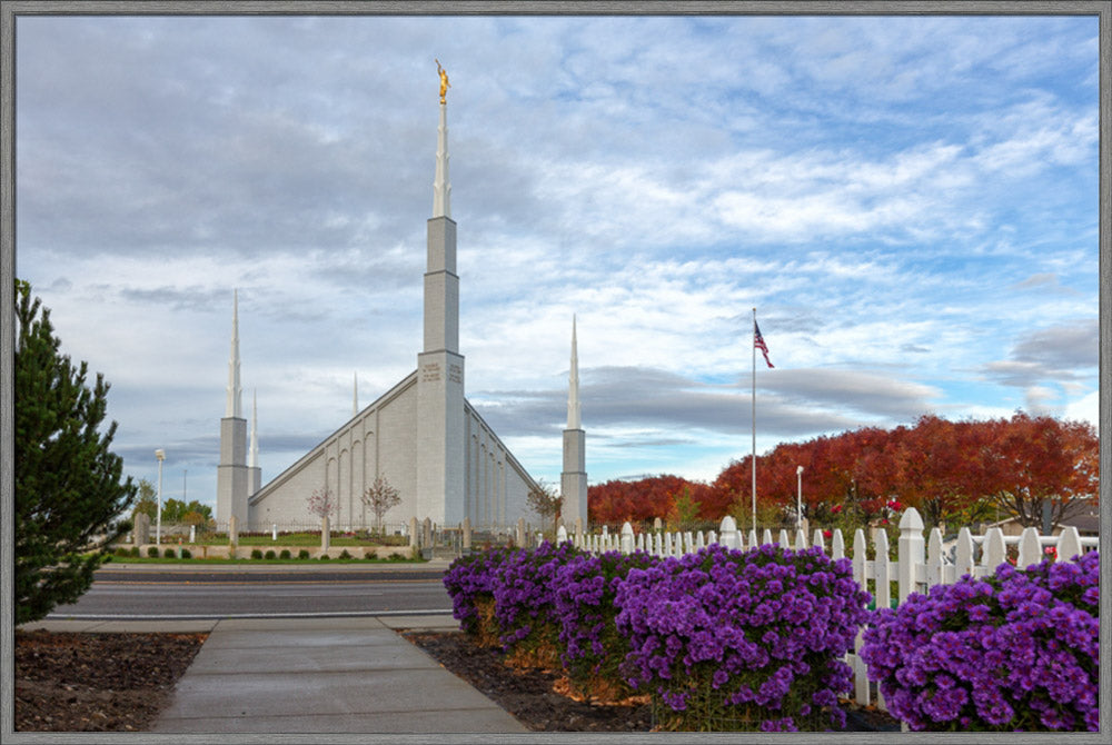 Boise Temple - Purple Flowers