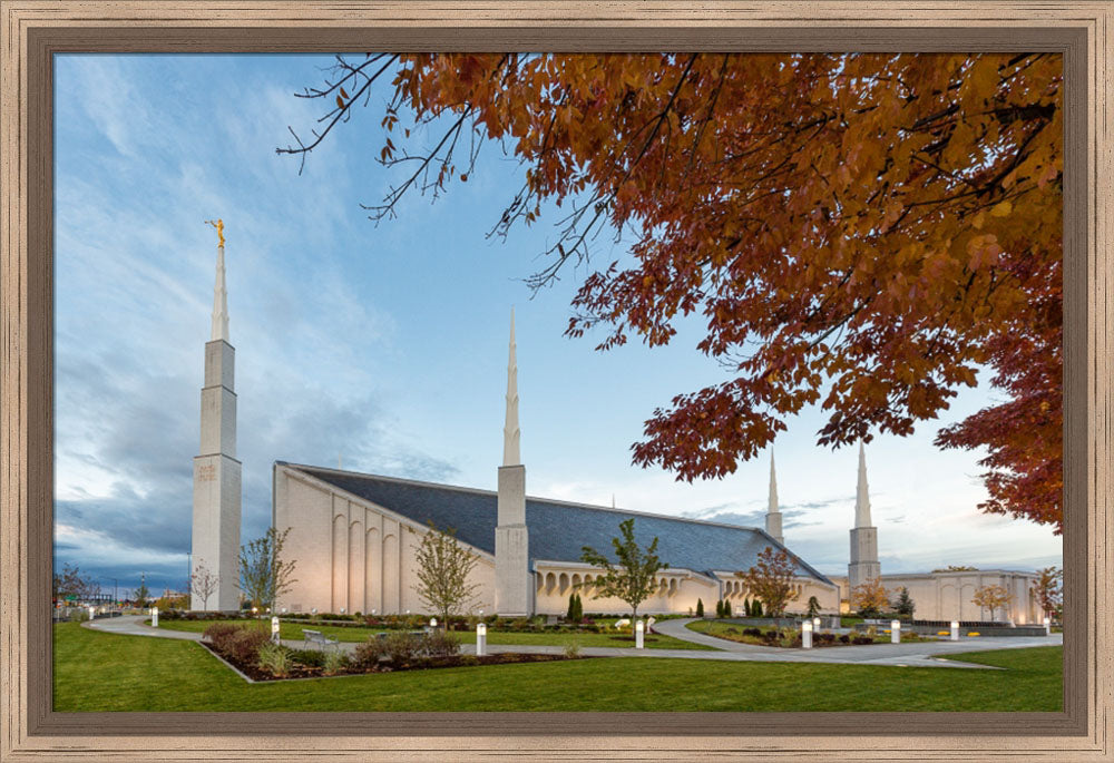Boise Temple - Fall Trees