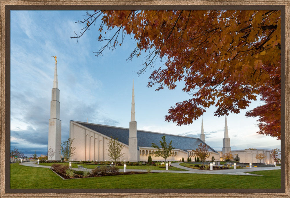 Boise Temple - Fall Trees