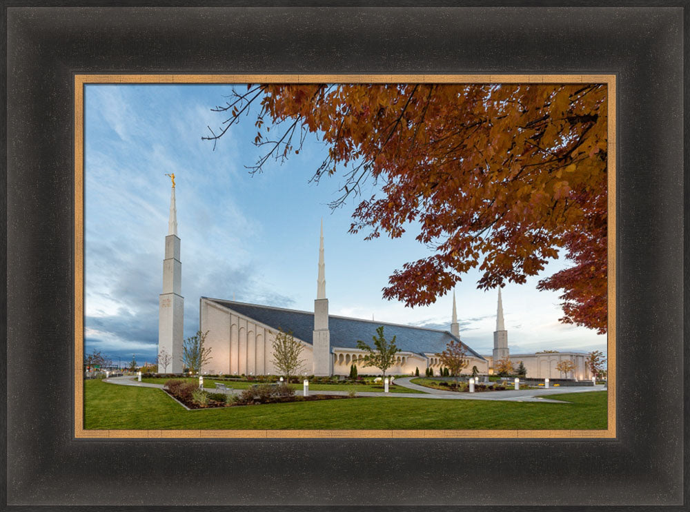 Boise Temple - Fall Trees