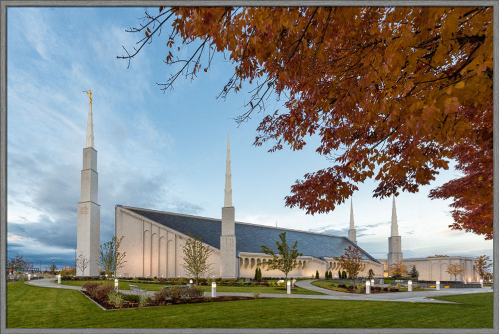 Boise Temple - Fall Trees