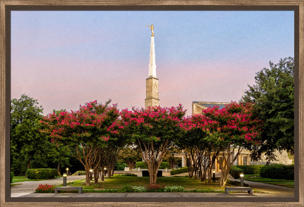 Dallas Temple - Flowering Trees