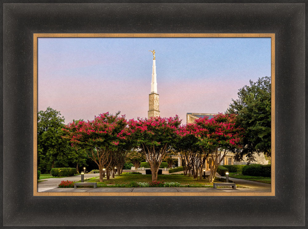 Dallas Temple - Flowering Trees