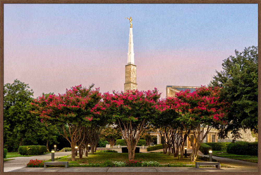 Dallas Temple - Flowering Trees