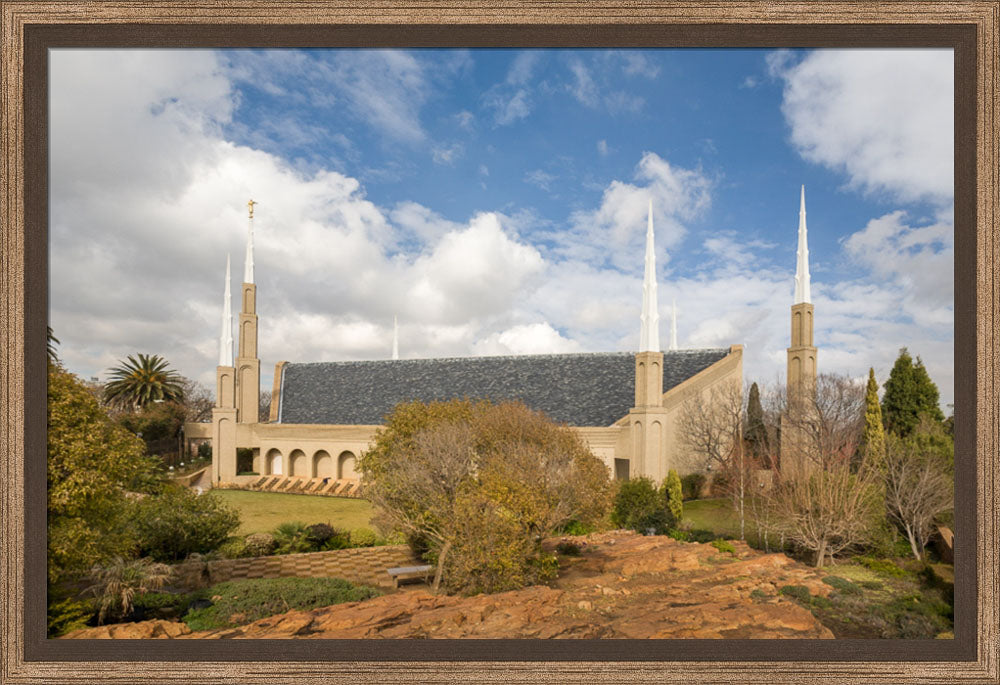 Johannesburg Temple - Trees