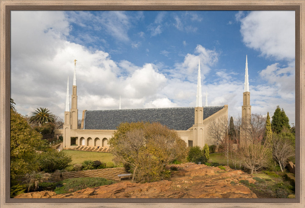 Johannesburg Temple - Trees