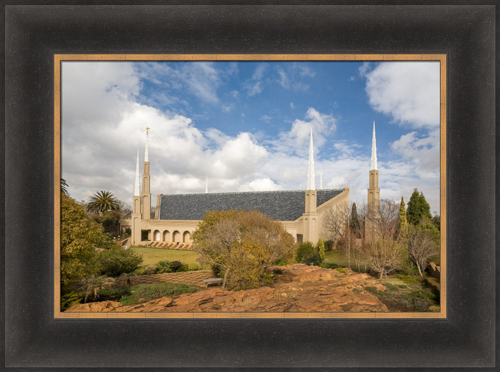 Johannesburg Temple - Trees