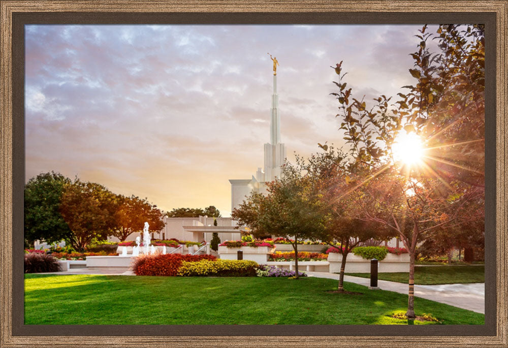 Denver Temple - Sunburst