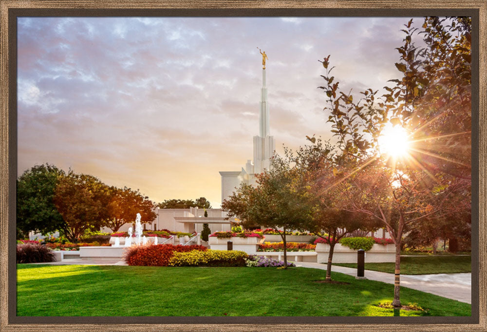 Denver Temple - Sunburst
