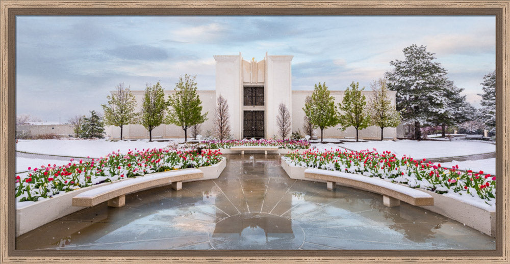 Denver Temple - Spring Snowstorm