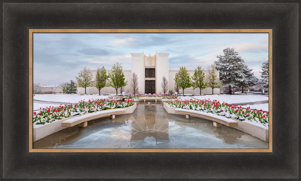 Denver Temple - Spring Snowstorm