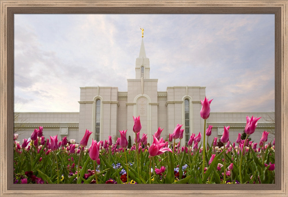 Bountiful Temple - Tulips