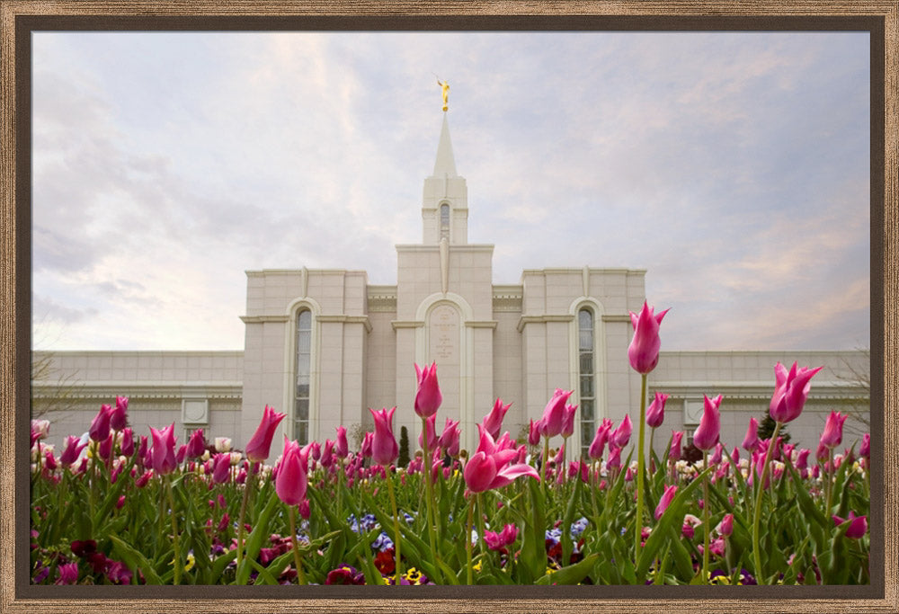 Bountiful Temple - Tulips