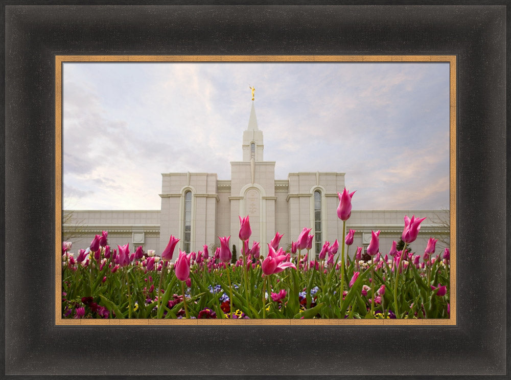 Bountiful Temple - Tulips
