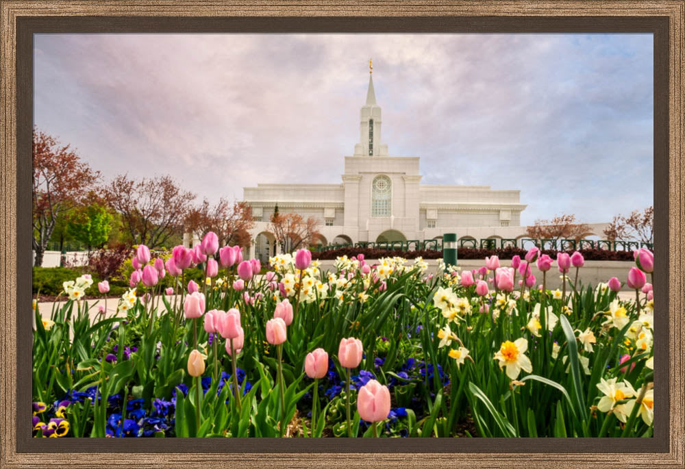 Bountiful Temple - Pink and Yellow Tulips