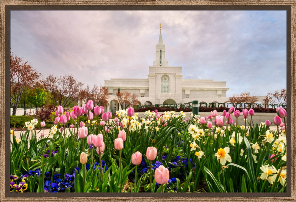 Bountiful Temple - Pink and Yellow Tulips