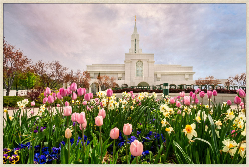 Bountiful Temple - Pink and Yellow Tulips