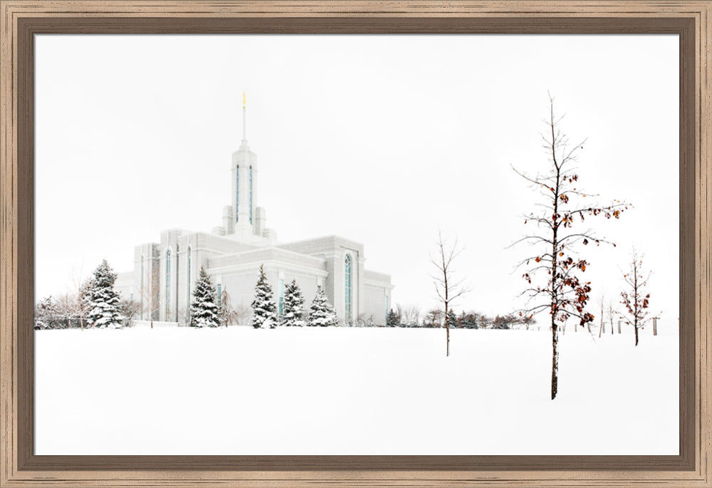 Mt Timpanogos Temple - Snow Red Leaves