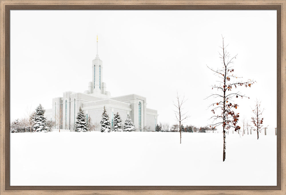 Mt Timpanogos Temple - Snow Red Leaves
