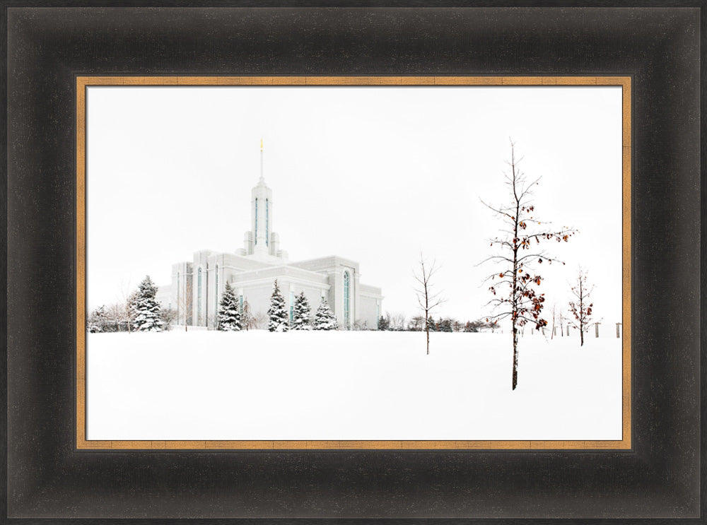 Mt Timpanogos Temple - Snow Red Leaves