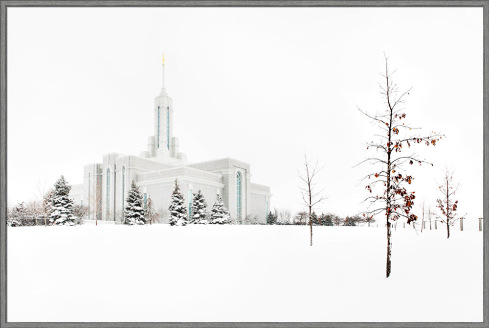 Mt Timpanogos Temple - Snow Red Leaves