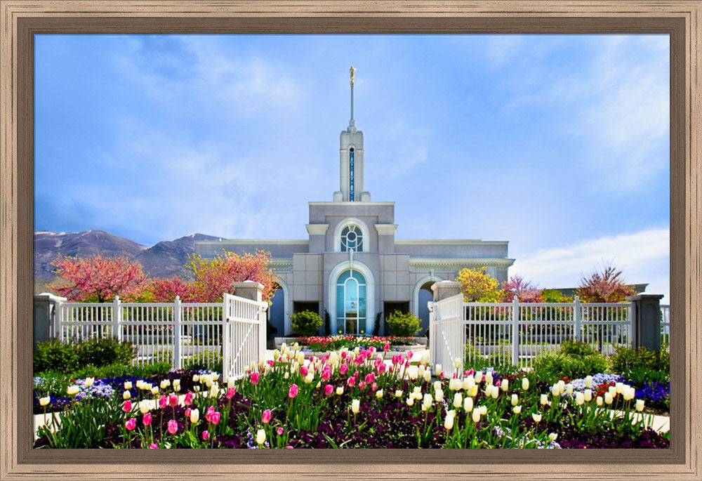 Mt Timpanogos Temple - Spring Tulips