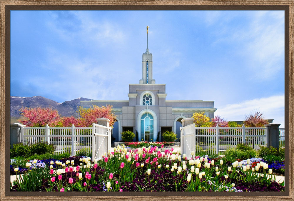 Mt Timpanogos Temple - Spring Tulips