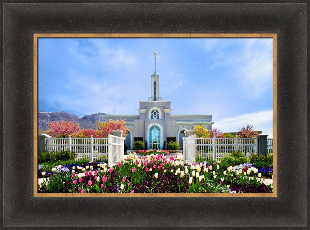 Mt Timpanogos Temple - Spring Tulips