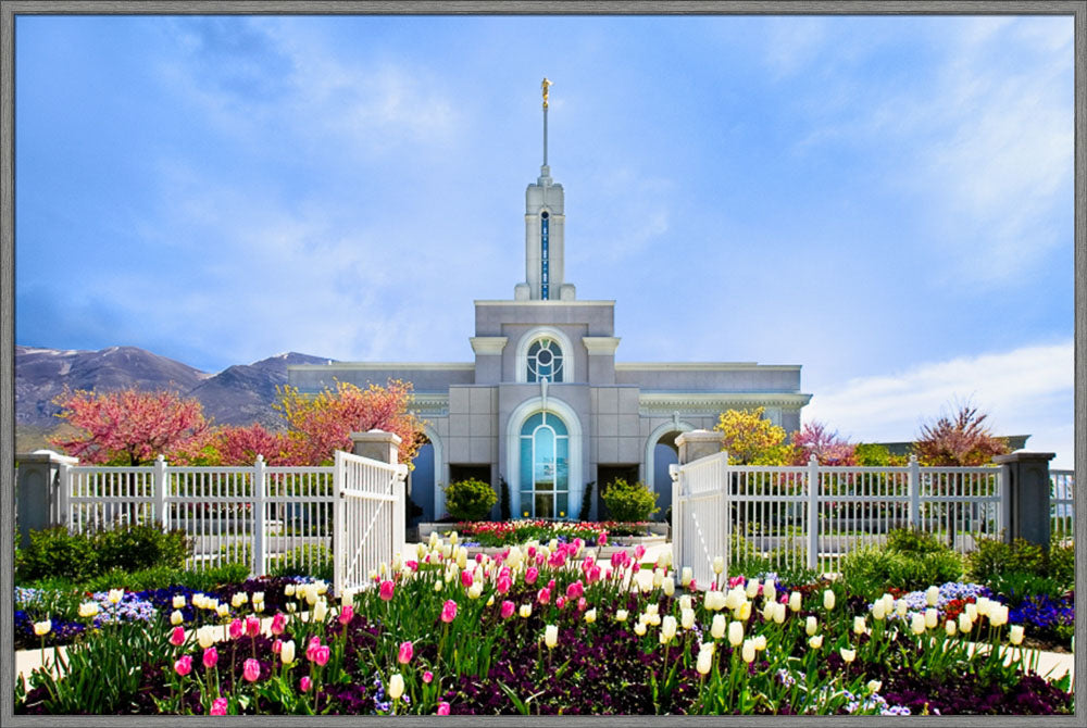 Mt Timpanogos Temple - Spring Tulips