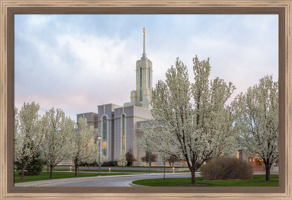 Mt Timpanogos Temple - Spring Blossoms