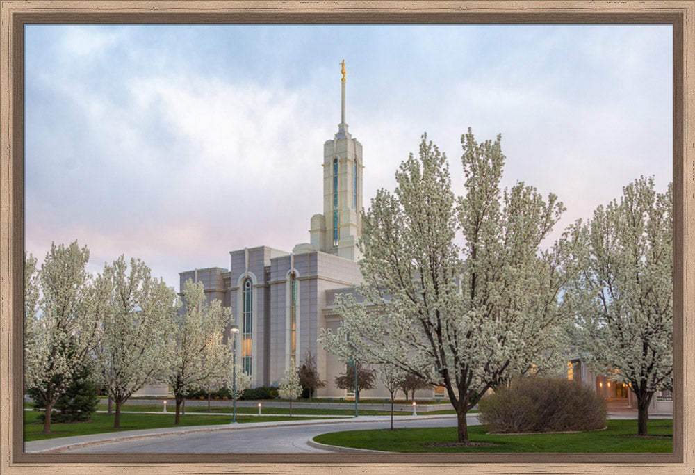 Mt Timpanogos Temple - Spring Blossoms