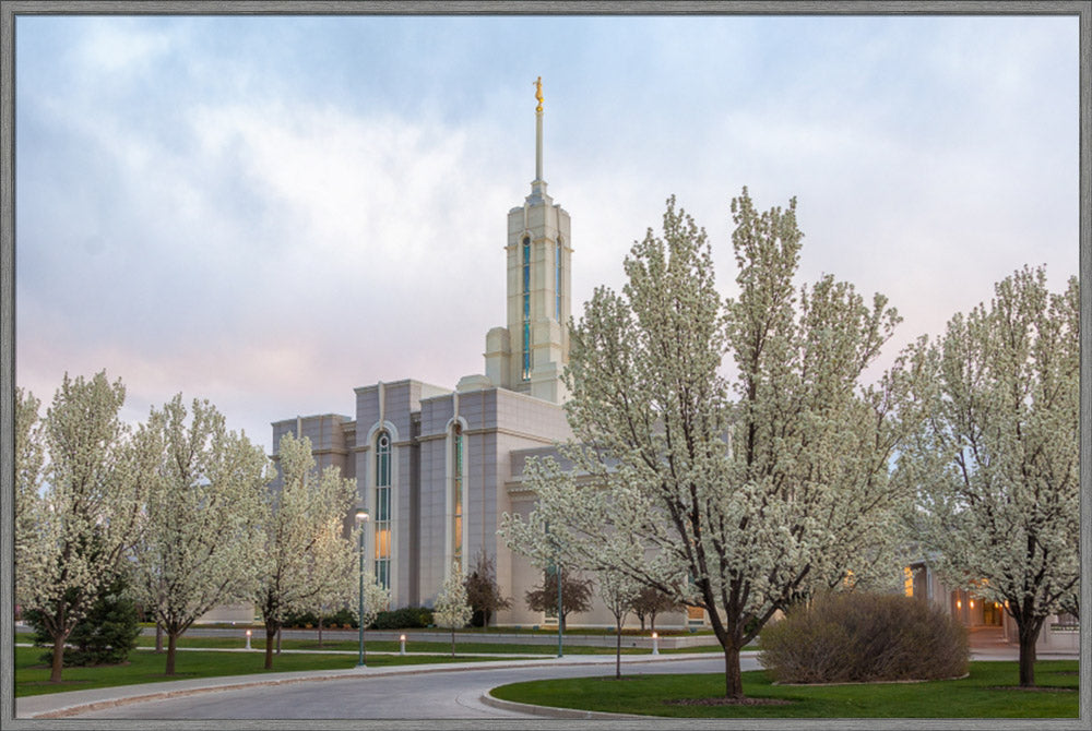 Mt Timpanogos Temple - Spring Blossoms